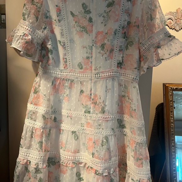 Rachel Parcell Floral Ruffle Sleeve Dress - Picture 6 of 6